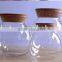 glass storage bottle for household using