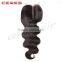 Human Hair Weave Lace Closure Peruvian Silk Body Wave Closure Middle Part Closure