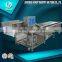 SGS certificate fruits and vegetable washing machine
