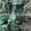 Natural Raw Green Malachite Crystal Rough stones