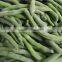 hot sale frozen IQF green beans cut