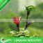 LED solar flower light/solar garden lamp/ outdoor pin lamp/red green transparent glass light