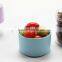 travel cup also good for snacks saving