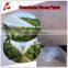 farm orchard plastic rain protection cover