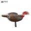 XPE pretty turkey decoy for hunting