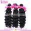 Top Beauty Hair Free Sample Hair Bundles Brazilian Virgin Human Deep Wave Brazilian Hair Bundles