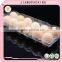 wholesale high quality transparent plastic egg carton