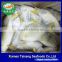 Wholesale Seafood Frozen Golden Pompano/golden Pomfret