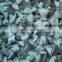 BRC,HALAL,KOSHIER IQF blanched shiitake mushroom