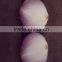 2016 new crop fresh onion for exporting