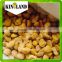 Chinese supplier frozen dried chestnuts