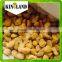 top quality chinese frozen chestnuts kernel