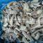 wholesale delicious IQF/Frozen oyster mushroom dices,chinese golden supplier
