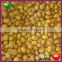 New Asian Organic IQF Frozen Shelled Cooked Big Size Chestnut