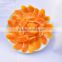 Market price best selling fresh Organic Chinese Dried Kiwi Fruit