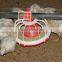 feeding equipment | feeding system for broiler | pan feeder