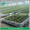 High qualiy LDPE irrigation Pipe 16-63mm