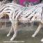 Tree Root Wood Horse