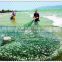 China factory Anti slip used commercial gill net Nylon Monofilament knotted Fishing Nets for fish farming