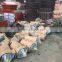 Wet Milling Machine in Sudan Market