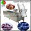 Best popular whole stainless steel bubble vegetable washing machine with ozone system fruit washer automatic vegetable washing