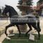 factory sale outdoor life size fiberglass black horse statue NTRS659S