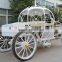 European style pumpkin princess carriage scenic spot exhibition hall, photography props wedding electric carriage(BG11-M097)