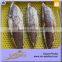 Sea Frozen Fish Fillet