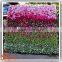 2017 New artificial wedding silk large rose flower wall