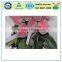 Durable Waterproof Plastic Net for Rose Bud
