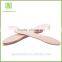 Small Ice Cream Spoon Disposable Mini Dessert Wooden Spoon