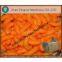 Snacks food production equipment