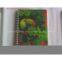 3d notebook