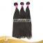 Top Quality 8a Grade Brazilian Wet And Wavy Straight Wave Hair