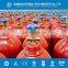 Multi Types 23.6L E Size Oxygen/Nitrogen/Argon/CO2 Gas Cylinder