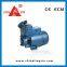 PERIPHERAL SELF PRIMING AUTOMATIC WATER PUMP WITH PRESSURE TANK