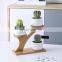 Round Desktop Decoration Ceramic Succulent Planter Plant Flower Pots Indoor Wood