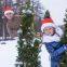 Competitive Price Spot Goods High Quality Hot Sale Christmas Supplies Merry Christmas Decorated Felt Santa Claus Hat