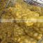 2016 crop good taste fresh potatoes for export