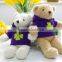 Plush Toy Bear Wearing Purple Hoodie/Luck Soft Gift Toy Bear with Hoodie Printing Clover/Stuffed Toy Bear in Clothes