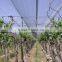 agricultural anti hail net/hail protection net/plastic net made in china