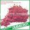 Chameleon Paint Chemical Pigment for Boday Drawing
