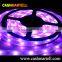 High quality Newest led neon flexible light