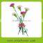Reasonable price promotional hotel garden floral carnation