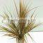hot selling narture green bonsai export from china for garden decoration