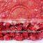 IQF Strawberry Dices