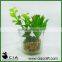 PVC Artificial Potted Grass Plastic Bonsai in Glass Terrarium for wholeselling
