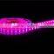 UL Approved Flexible LED Strip Light,SMD led strip