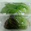 FFA high quality flow food vacuum packaging machine