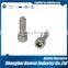 Stainless Steel 304 Hex Socket Thin Head Cap Screws DIN7984